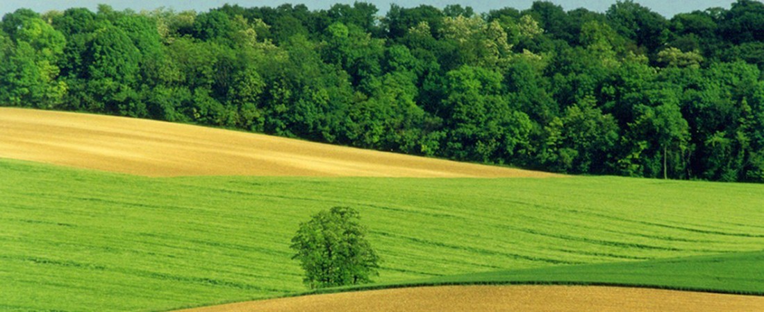 Nature et Paysans