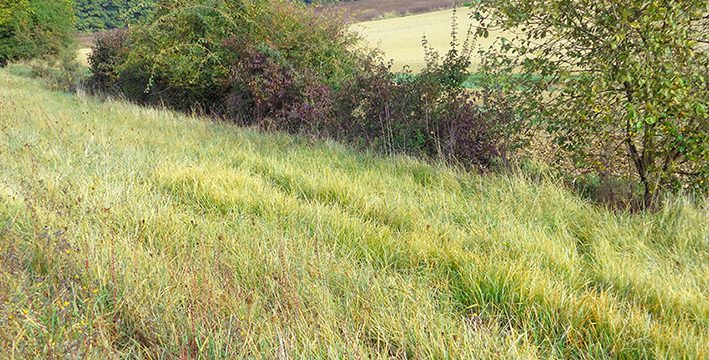 « audit patrimonial » sur le territoire d’action du Ruban Vert