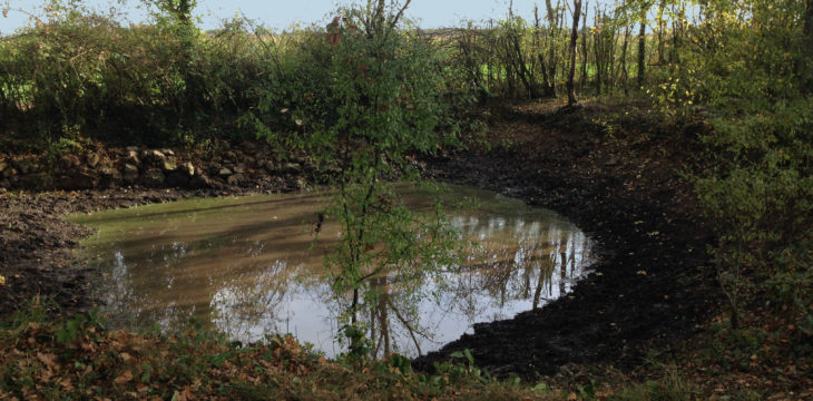 Inventaire participatif des mares du Ruban Vert