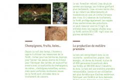 03_PANN_BENEFICES_DEF