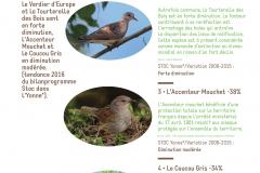 05_PANN_OISEAUX_DEF