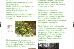 10_PANN_DOCDEFHD_EXPO_OEM