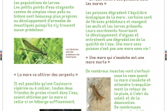 12_PANN_DOCDEFHD_EXPO_OEM