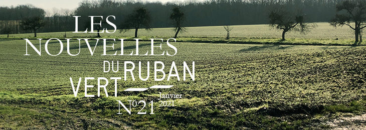 Les Nouvelles du Ruban Vert n° 21 – Janvier 2021